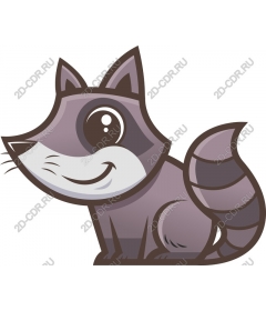  Cute raccoon
