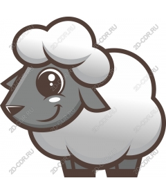  Sweet grey sheep