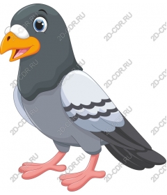  Cute cartoon dove