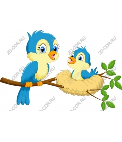  Adorable blue birds