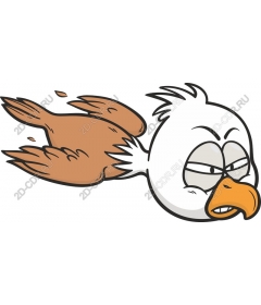  Strong bird in flight