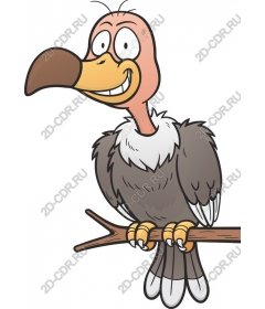  Cartoon vulture