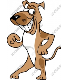  Funny cartoon dog