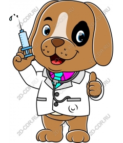  Cute vet for dogs