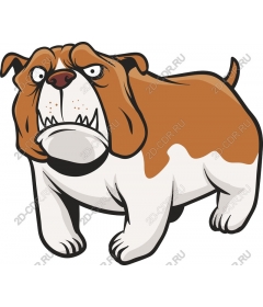  The cartoon about the bulldog