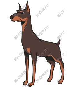 Premium Doberman