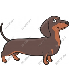  Dachshund Delight