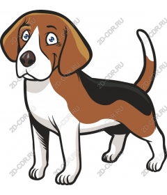  Adorable Beagle