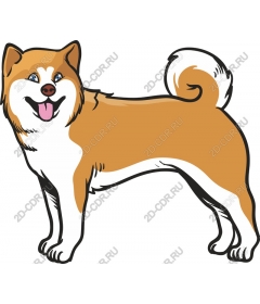 Playful dog in and