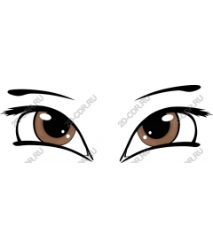  Charming brown eyes