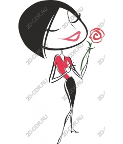  Charming lady rose