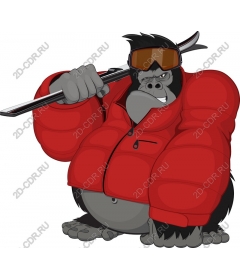 Gorilla Ski Adventurer