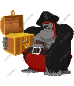 Pirate gorilla