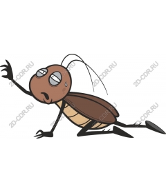  Cartoon cockroach
