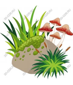  Adorable mushrooms and greens