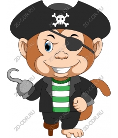  Pirate monkey