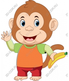 Funny monkey