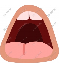  Mouth mid-yawn