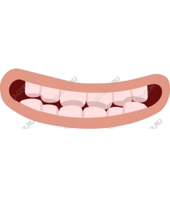  Bright smiling mouth