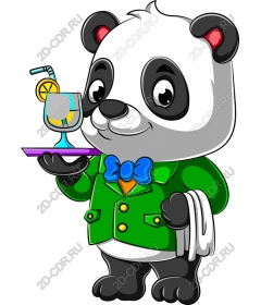  Dapper Panda
