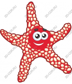  Bright cartoon starfish