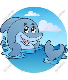  Adorable Dolphin