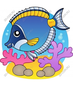  Bright underwater fish