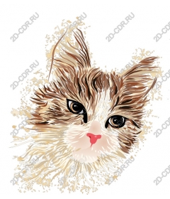  Cute cat face