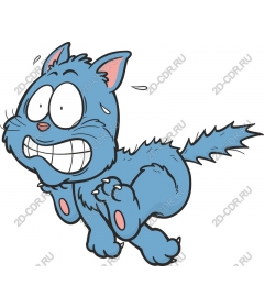 Playful blue cat