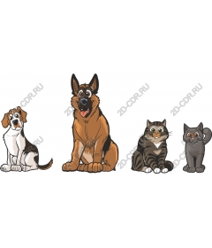 Package "Friends Pets"