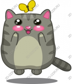 Playful kitten