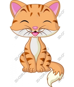  Red cat