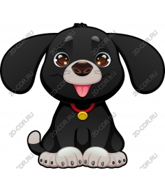  Cute black puppy