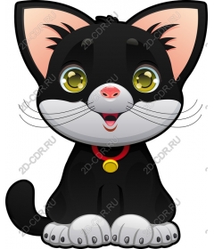  Charming black cat