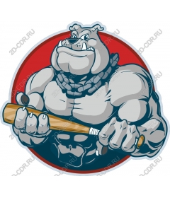  Muscular bulldog