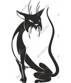  Ferocious cat