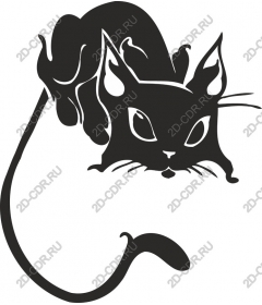 Игривый кот