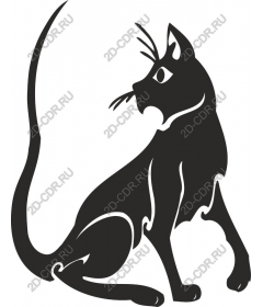  Кошачья элегантность