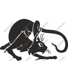  Притаившийся игривый кот