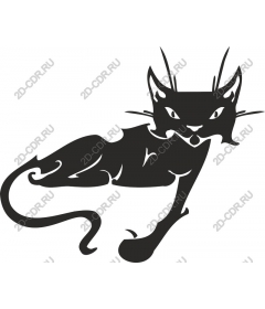 Элегантный черный кот
