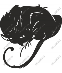  A cat curled up in a ball