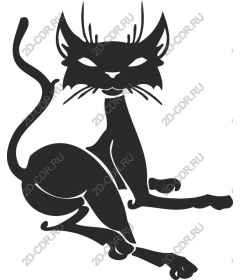  Мистический Кот