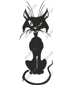  Black Cat