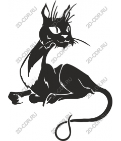  Black Cat