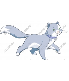  Игривый голубой кот
