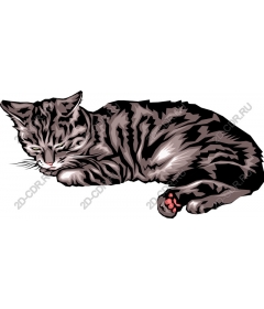  Sleepy Cat