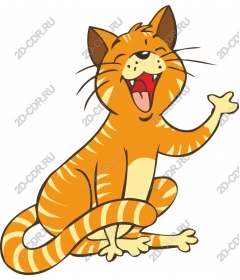 Funny orange tabby cat