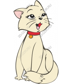 Funny cat