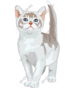 Очаровательный котенок