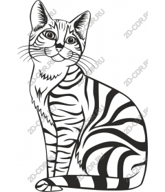  Charming tiger cub